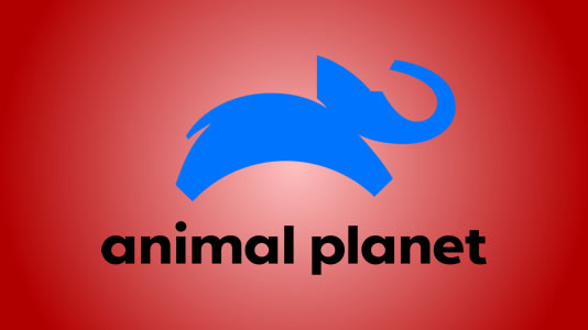 ANIMAL PLANET